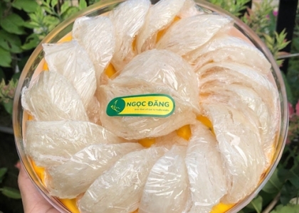 Ảnh 1
